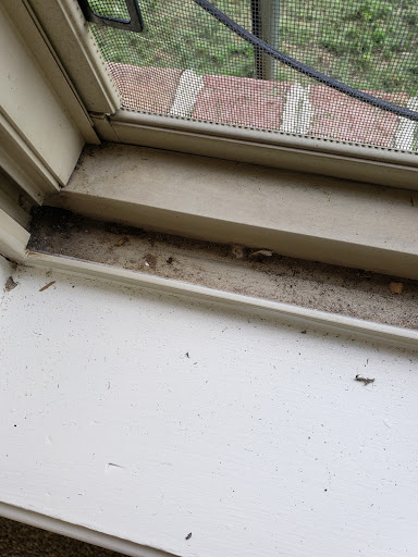 Quad State Cleaning Solutions, LLC - Thumbnail