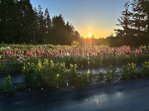 Graystone Farm - Visual