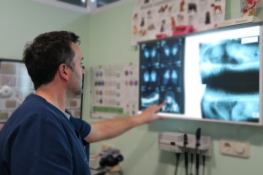 Clinica Veterinaria Melide