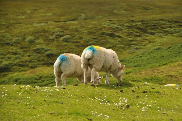 Quiraing