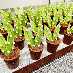 Photo n°6 de Boulangerie Pâtisserie Servant à Vézac (Boulangerie)