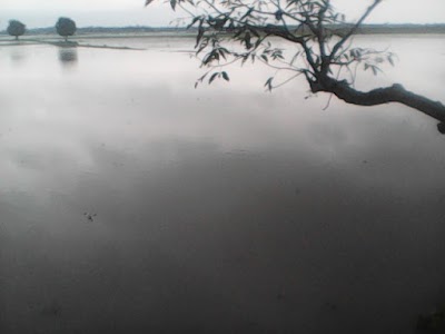 Photos of Ahmmodpur Jame Marjid