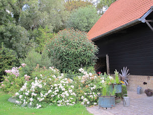 Photo n°1 de LE JARDIN DES TETARDS à Brouckerque (Jardin)
