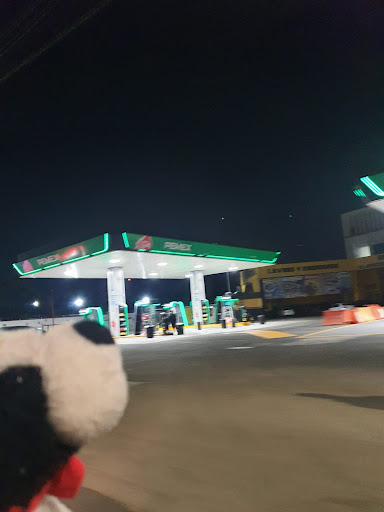 Gasolinera SEMAR Gallery - Mexico