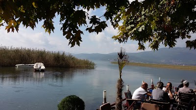Photos of Summer Bar Galeb