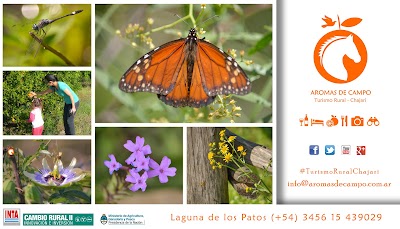 Photos of Rural tourism "Aromas de Campo"