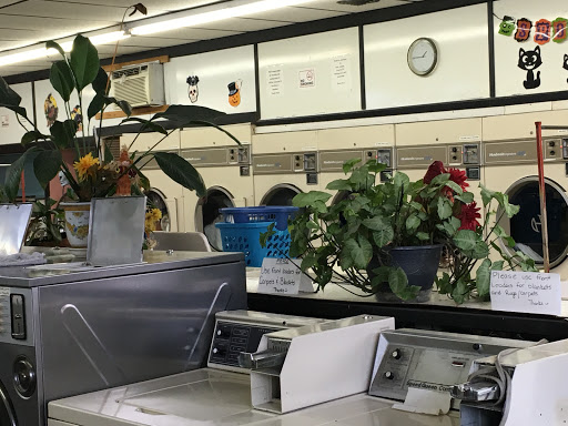 Madison Laundry Center Gallery - United States