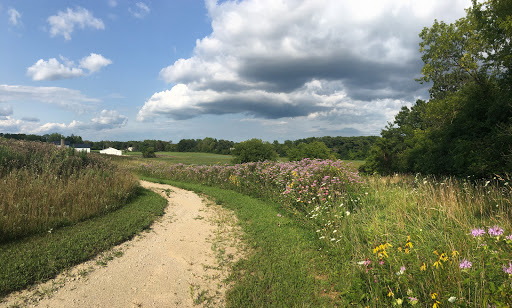 Freier Farm - Visual