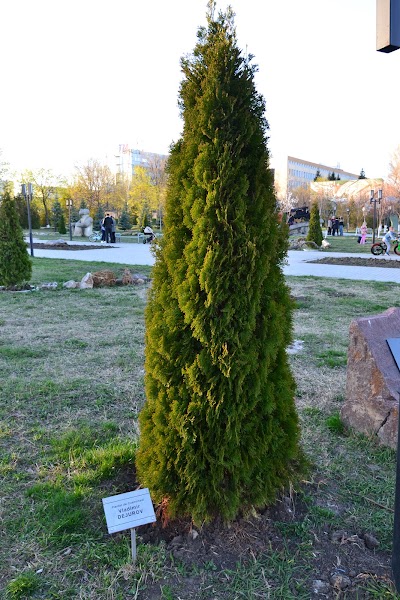 Photos of Аллея Космонавтики