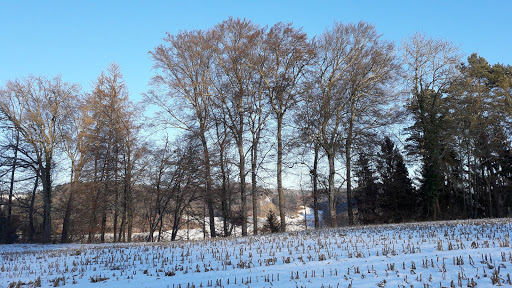 Sportverein Deggenhausertal - SVD Kneisslerstadion