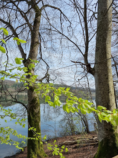 Mindelsee Runde zum Wild- und Freizeitpark Allensbach und zurück - Impressionen - Thumbnail