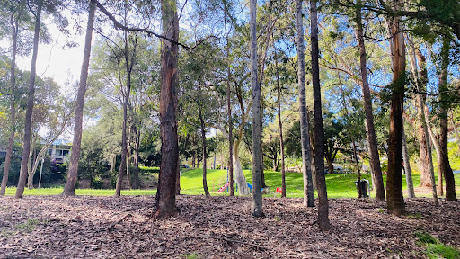 Hicks Avenue Reserve - Thumbnail