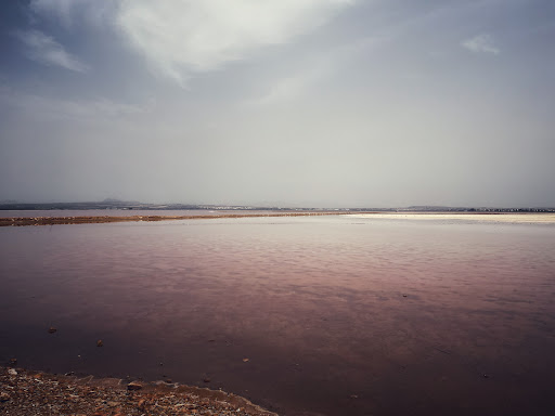 Salinas de Torrevieja - Thumbnail