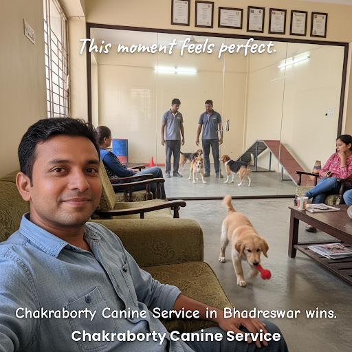 Good Service post image