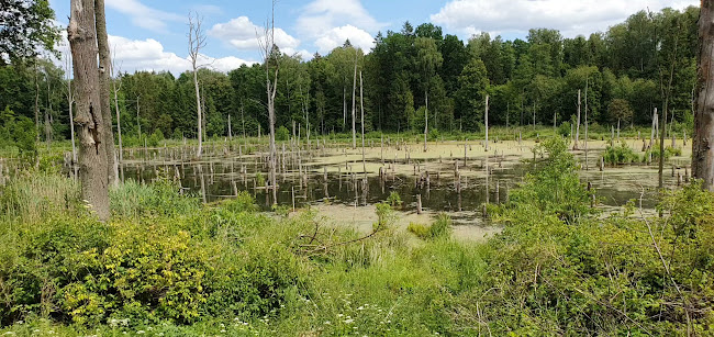 Węgorzewskie Stowarzyszenie Hobbystów Kolejowych