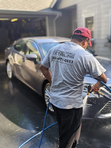 Platinum Mobile Detailing