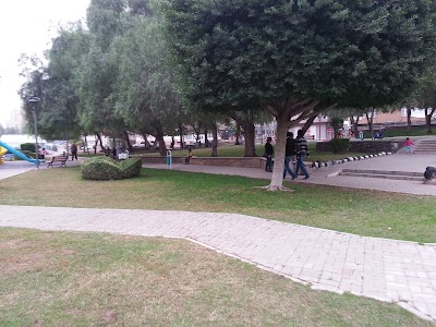 Altın Koza Park