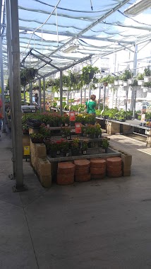 Garden Center at The Home Depot, Author: T h a i r y