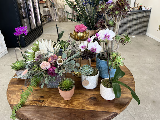 Magnolia Floral Design - Thumbnail