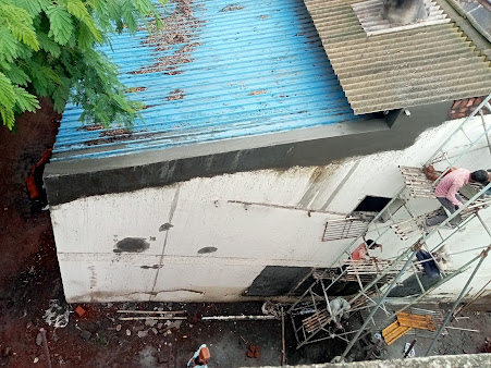 Af1qipppnut Ko3gho Javja1r5nzpgpno1nrfx8bjpw=s451 K No