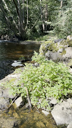 Photo n°14 de Moulin des îles à Lisseuil (Ferme)