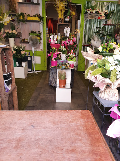 Allo fleurs - Thumbnail