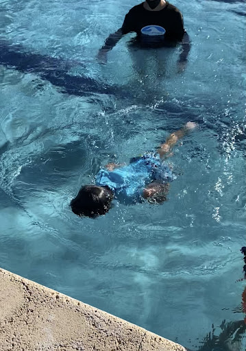 Little Swimmers Gallery - United States