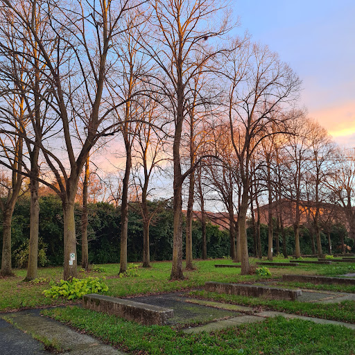 Liceo Ariosto Ferrara - Thumbnail