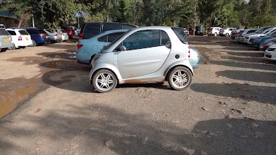 Photos of Karura Forest
