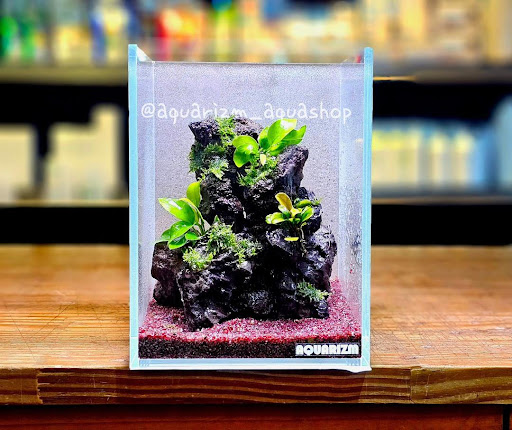 Custom aquariums create aquatic perfection. post image