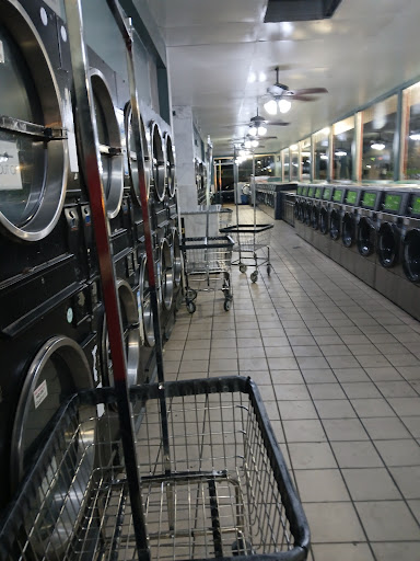 Alma's Thrifty Wash