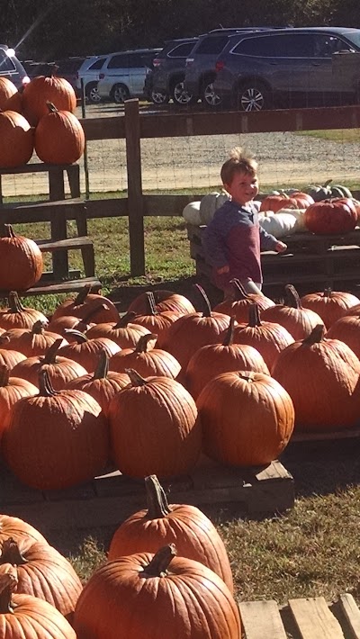 Photos of Aw Shucks Farms