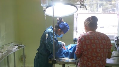 Photos of Interm&eacute;dica Veterinaria Pets