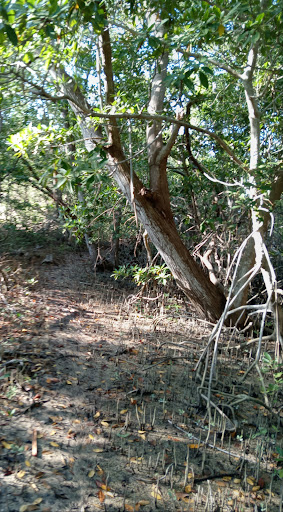 Punta Lastre - Visual
