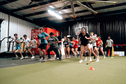 Development Performance Factory - Visual