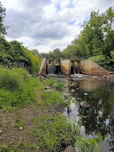 Stacy Dam - Visual