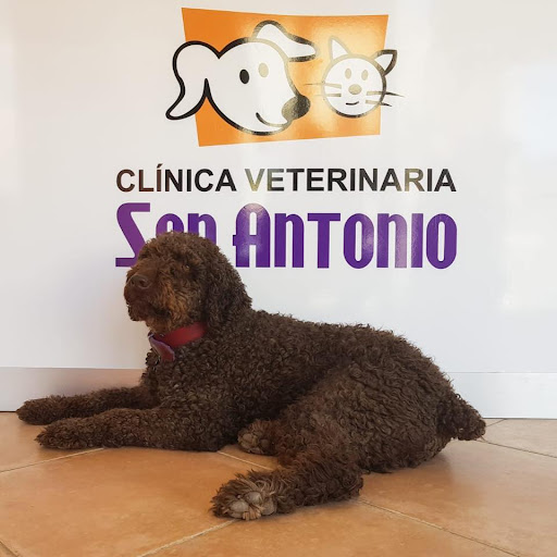 CLÍNICA VETERINARIA SAN ANTONIO