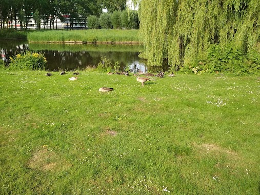 Mayor in 't Veld Park, Author: Anton G