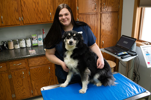 Oakes Veterinary Services - Thumbnail