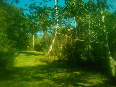Photos of Mahu Lodge