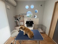 わんこの床屋さん レーヴ