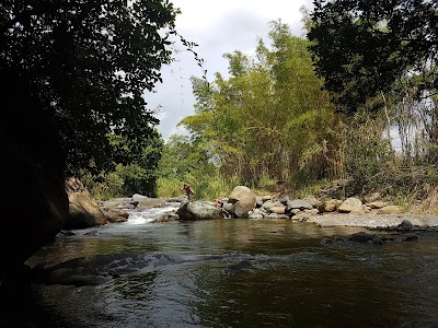 Photos of Escuela de la Tierra - Longo Mai