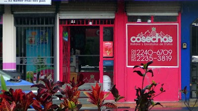 Photos of Cosechas