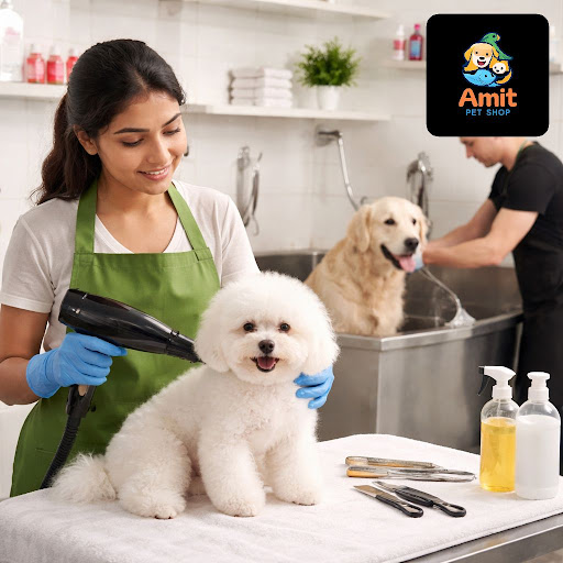 At Amit Pet Shop & fish aquarium & pet grooming, we know your pets are family. That’s why every g… post image