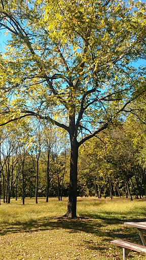 Chestnut Grove Park - Thumbnail