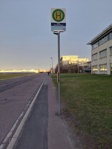 Dölzig (Schkeutitz), Westringstr./Akzent - Thumbnail