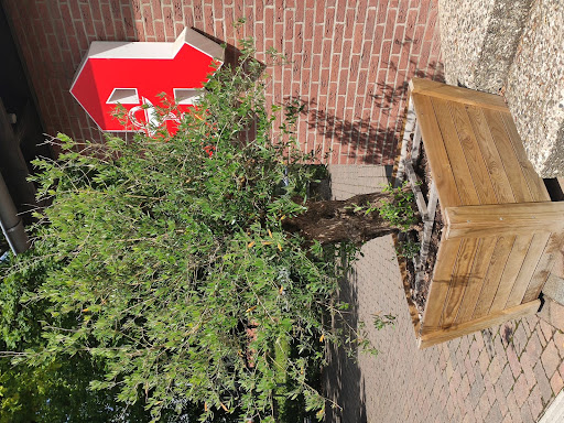 Oliven Apotheke Ehlershausen - Thumbnail
