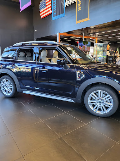 Checkered Flag MINI - Visual