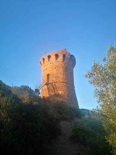 Camping Fautea - Visual