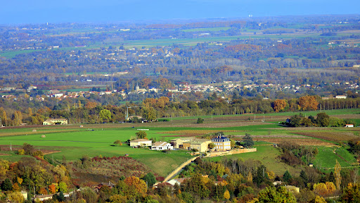 Photo de Domaine du Rocher Denicé à Denicé (69640)